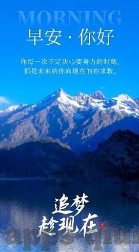 乐鱼体育赌博视频下载-乐鱼体育赌博视频下载，审视网络风险与守法重要性